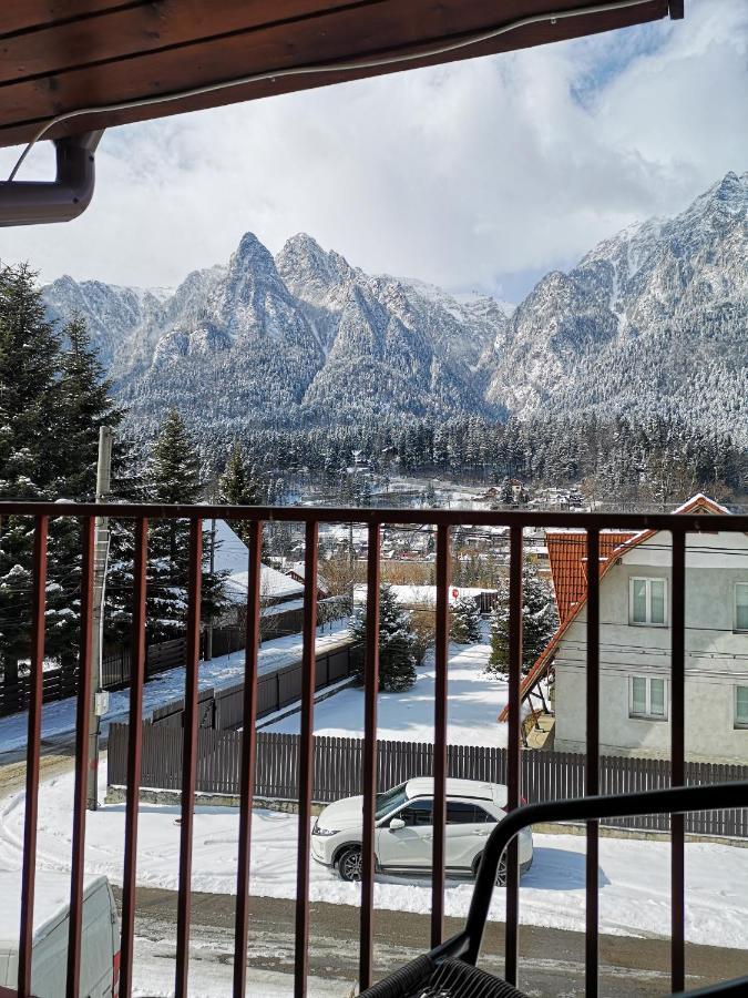 Casa Liana Hotel Busteni Bagian luar foto